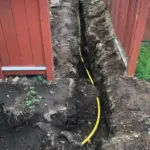 49257a17 aad3 4b46 9668 c2a314faa53c 1080x.png