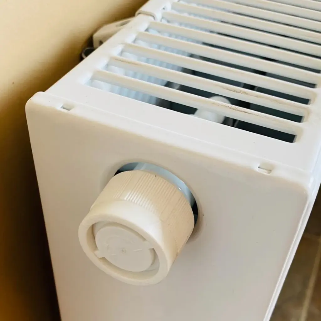 87c1d43d 42b0 4836 a945 3cd60cedfe2b 1080x