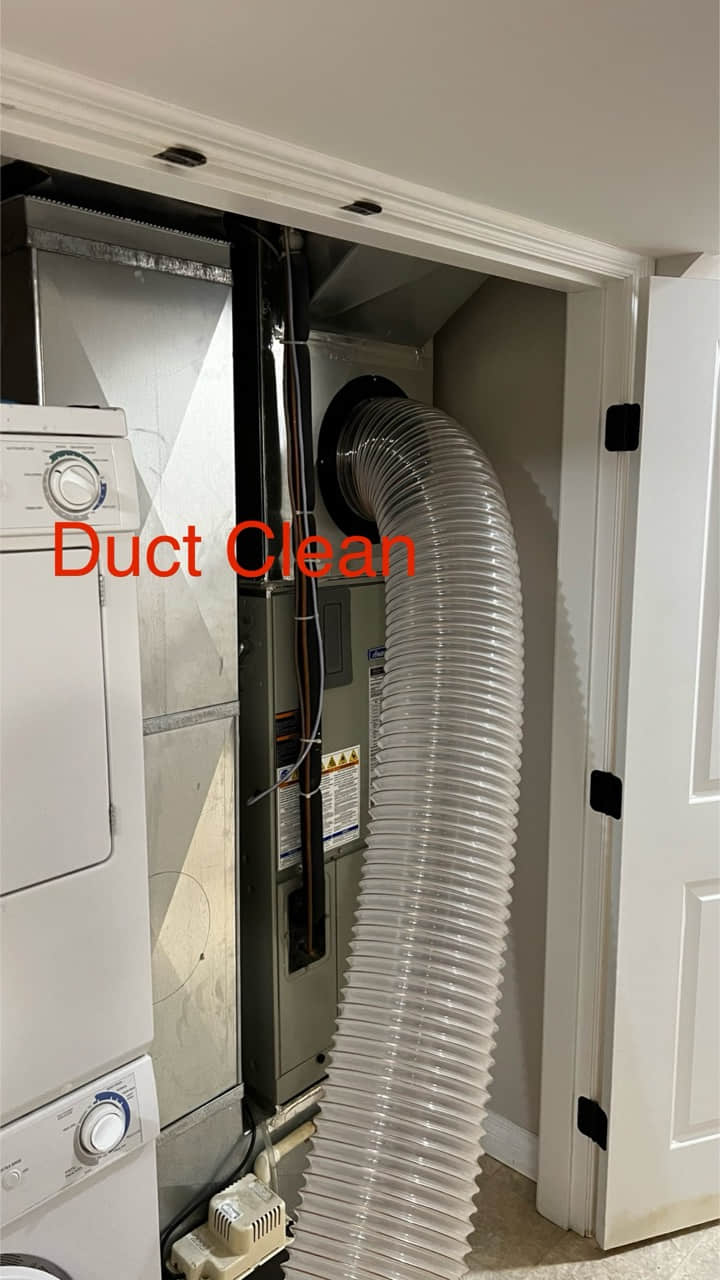 Gordon IMG 8584 Large